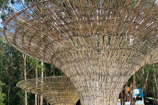 Private Half Day Guided Tour in Addis Ababa New Flower - Additional Information