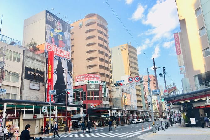 Private Half-Day Guided Tour of Osaka Minami - Accessibility and Inclusivity