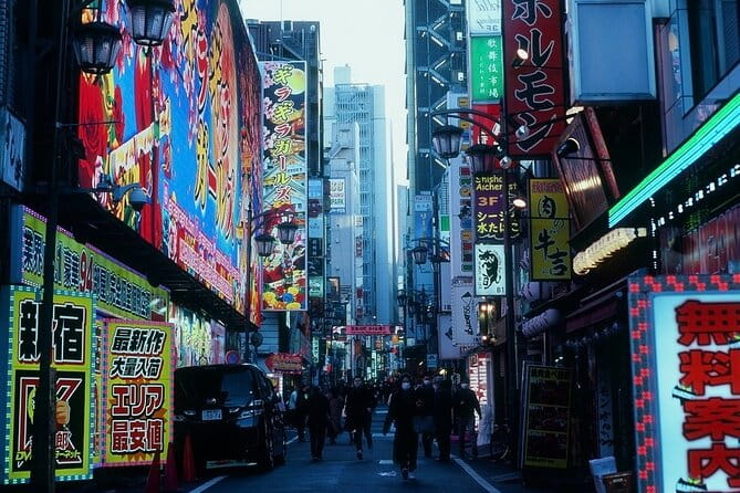 Private Half Day Guided Walking Tour of Shinjuku - Physical Fitness Level and Accessibility
