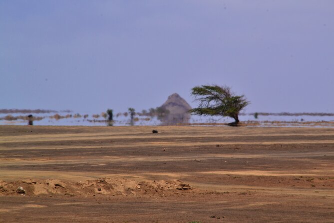 Private Half-Day Island Tour With Shark Watching Experience From Santa Maria - Tour Details and Inclusions