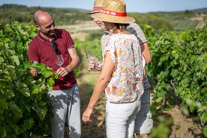 Private Half-Day Languedoc Wine Tour from Sète - Entering the Heart of Languedoc’s Wine Country