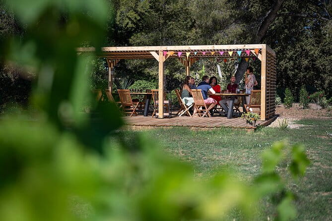 Private Half-Day Languedoc Wine Tour from Sète - The Return and What’s Included