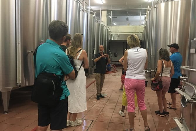 Private Half-Day Languedoc Wine Tour from Sète - Who Will Love This Tour?