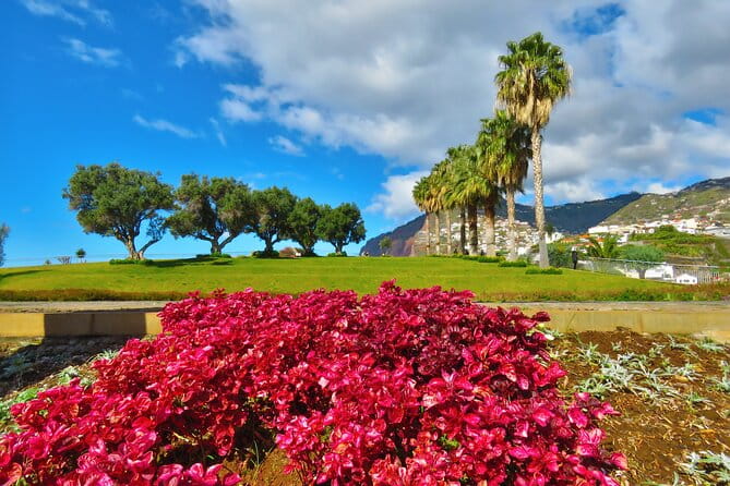 Private Half-Day Morning 4x4 Tour from Funchal - Exploring Madeira’s Rugged Beauty: The Experience in Detail