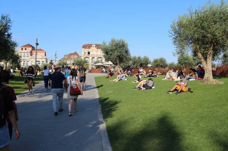 Private Half-Day Porto Tour By Car - Exploring Porto in Comfort: The Itinerary Breakdown