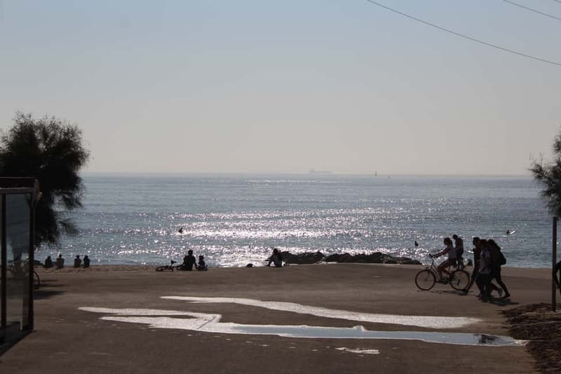 Private Half-Day Porto Tour By Car - Price and Logistics: Getting the Most for Your Money