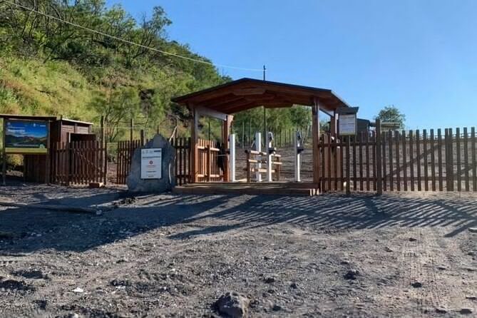 Private Half-Day Sightseeing Tour of Vesuvius National Park - The Cost and Value