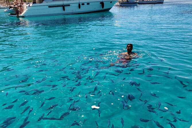 Private Half Day Speedboat tour to Kornati National Park - Discovering Kornati’s Less-Visited Islands and Beaches
