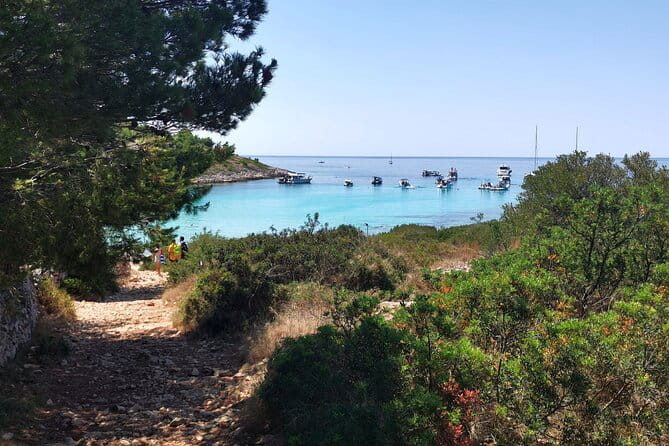 Private Half Day Speedboat tour to Kornati National Park - The Privately Crafted Itinerary: Perfect for Your Group