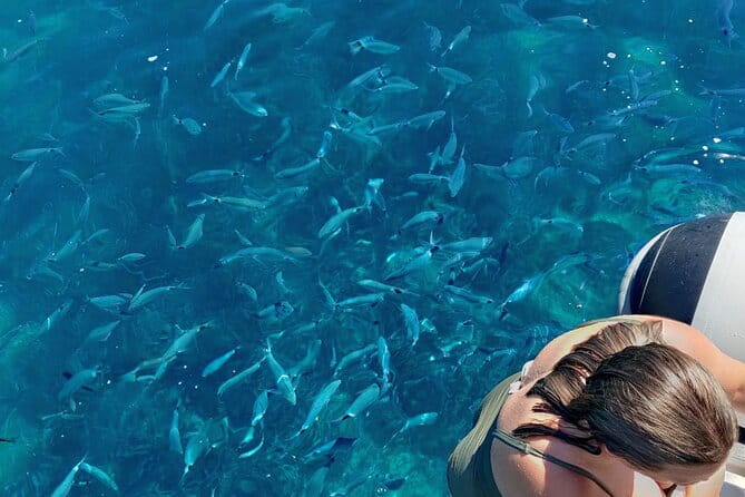 Private Half Day Speedboat tour to Kornati National Park - Who Should Consider This Tour?