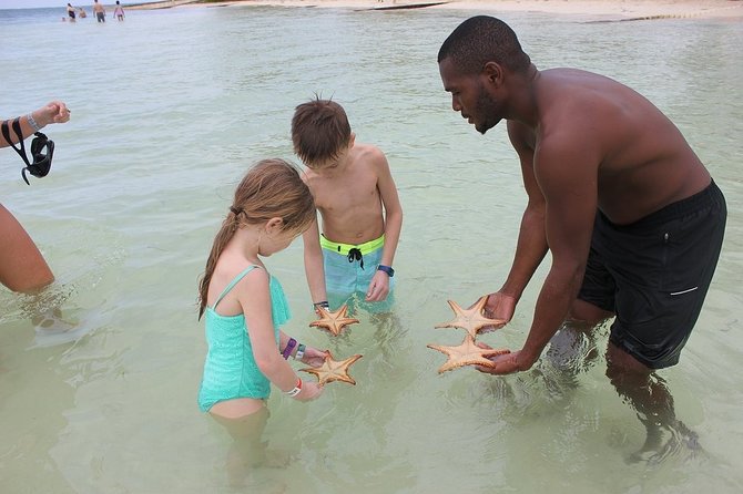 Private Half Day Stingray City, Snorkeling and Starfish Beach Tour - Cruise Ship Passengers