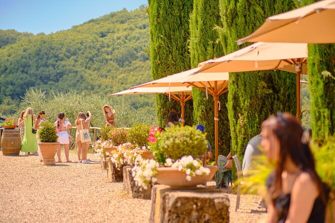 Private Half-Day Tour From Florence to Chianti Wine Region - Key Points