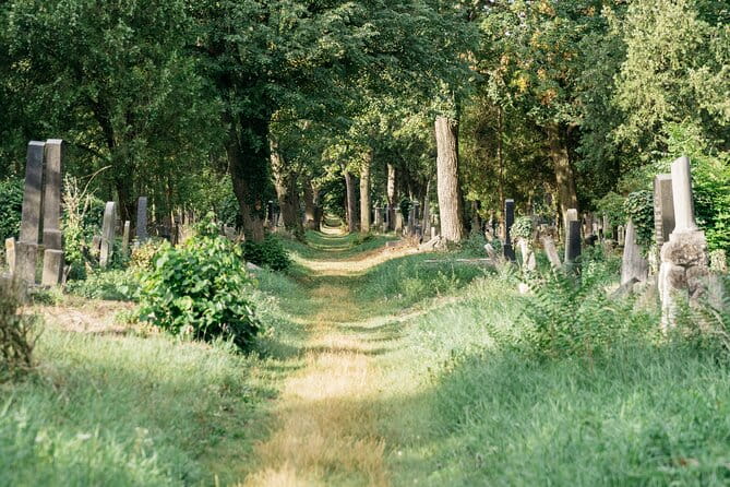 Private Half-Day Tour in Jewish Vienna - The Sum Up: A Thoughtful, Authentic Exploration of Jewish Vienna