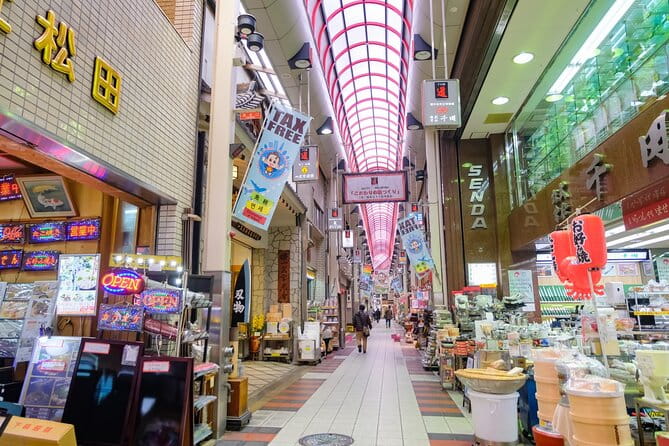 Private Half-Day Tour in Osaka by Taxi and Rickshaw - Accessibility and Participation