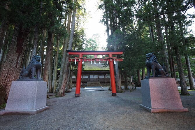 Private Half- Day Tour in Wakayama Koyasan - Accessibility and Participation Details