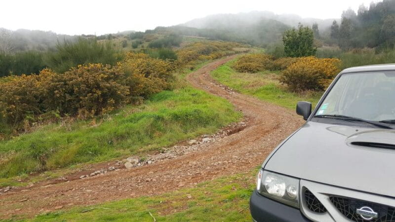 Private Half-Day Tour of Funchal Sky to Sea - Key points / Takeaways