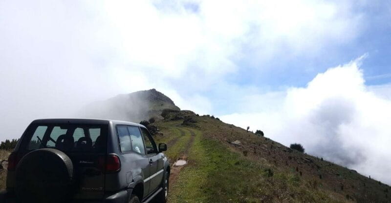 Private Half-Day Tour of Funchal Sky to Sea - Who Is This Tour Best For?