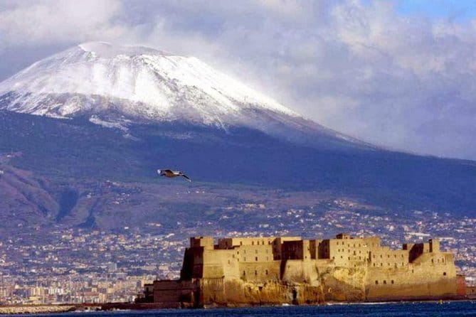 Private Half-Day Tour of Mt. Vesuvius - The Vesuvius National Park Experience