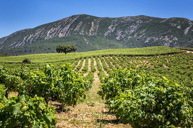 Private half-day tour of Sesimbra and Arrábida - FAQ