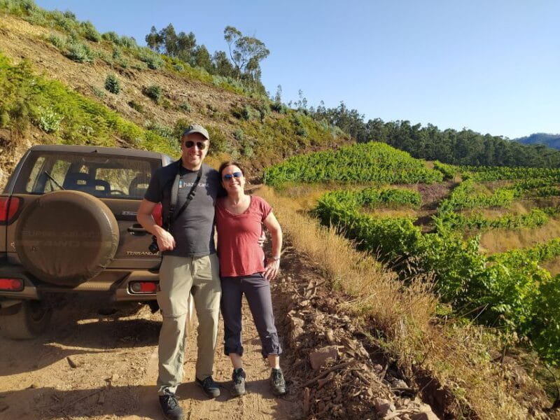 Private Half-Day Tour of Wine Fields - Exploring Madeira’s Hidden Gems in a Private 4x4
