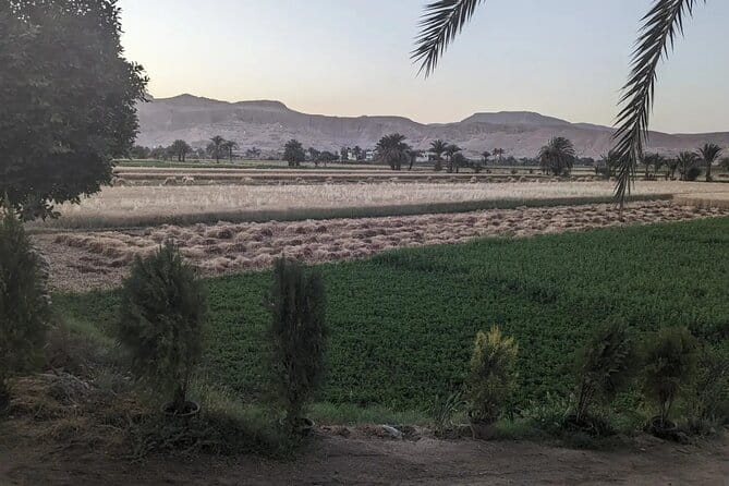 Private Half Day Tour West Bank of the Nile Luxor Egypt - In-Depth Review: A Closer Look at the West Bank Tour