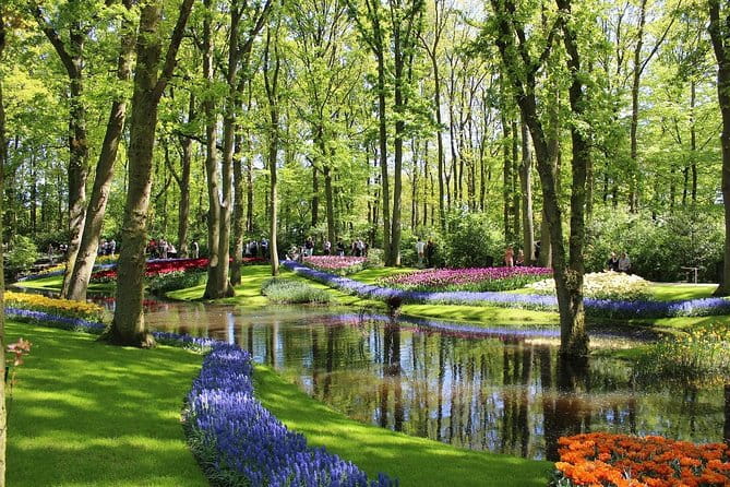 Private Half-Day Trip From Amsterdam to The Tulip Fields in Keukenhof - Transportation and Logistics: Comfort and Convenience