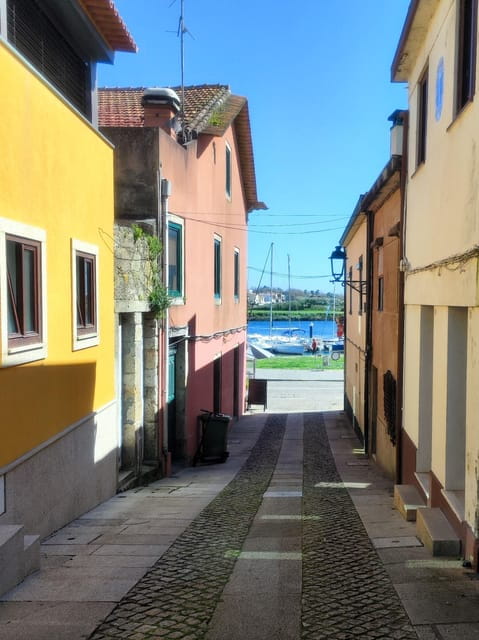 Private Half-Day TukTuk Tour All around Vila do Conde - Price and Value