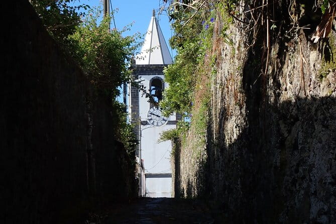 Private Half-Day Walking Tour of Horta Experience - Final Thoughts: A Genuine and Enjoyable Introduction to Horta