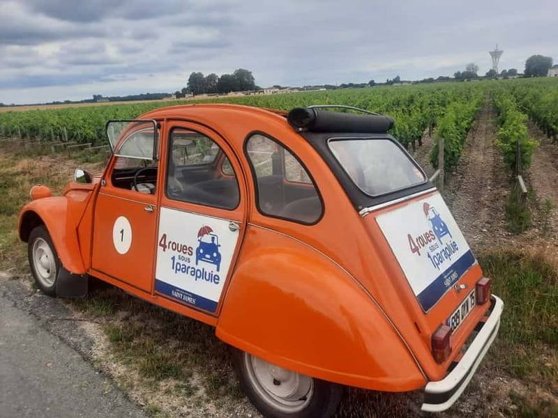 Private Half-Day Wine Tour in Citroën 2CV - Exploring Bordeaux’s Vineyards in a 2CV: The Experience in Detail