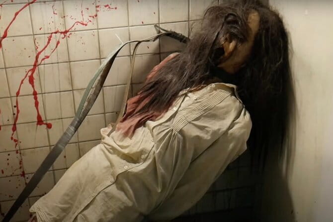 Private Haunted Spots Tour in Japan for the Bravest Ghost Hunters - Key Points