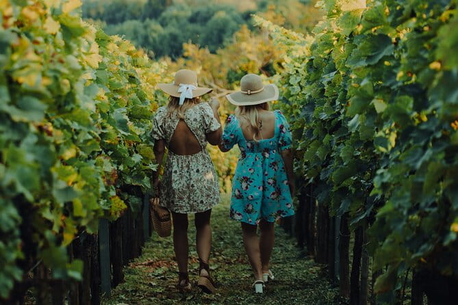 Private hedonistic food and wine experience from Zagreb - Who Will Love This Tour?