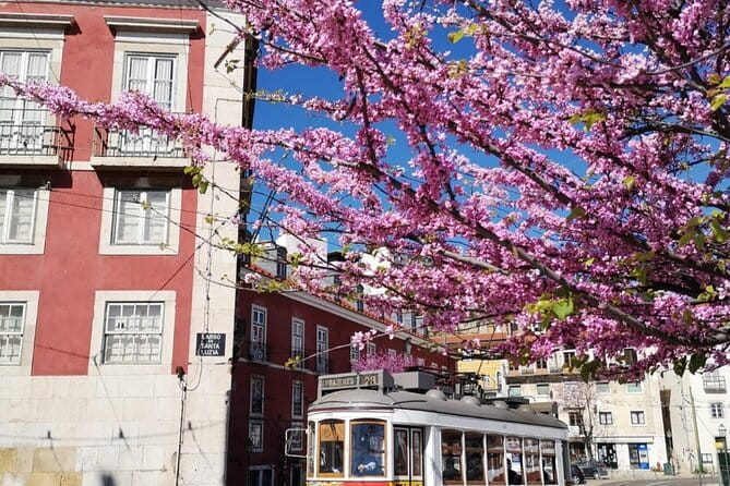 Private Highlights of Lisbon HD Tour - Who Would Love This Tour?