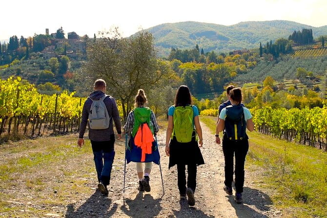 Private Hike and Wine Experiences in Chianti - Who Should Consider This Tour?
