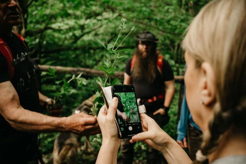 Private Hike: Brecon Beacons Henrhydd Falls Plus Foraging - Key points / Takeaways