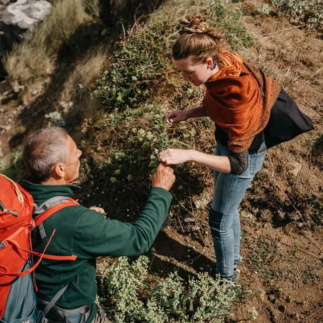 Private Hike: Brecon Beacons Henrhydd Falls Plus Foraging - Practicalities: What to Expect and Bring
