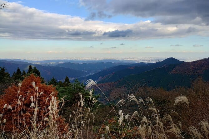 Private Hiking Activity Near Tokyo - What to Expect on Your Hiking Adventure