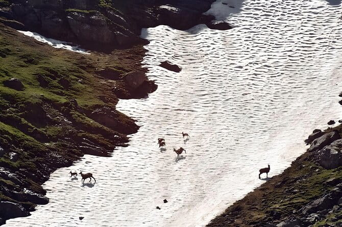 Private Hiking to Bucegi Natural Park from Brasov - Final Thoughts