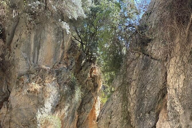 Private Hiking Tour in Imbros Gorge (Chania) - Practicalities and Value