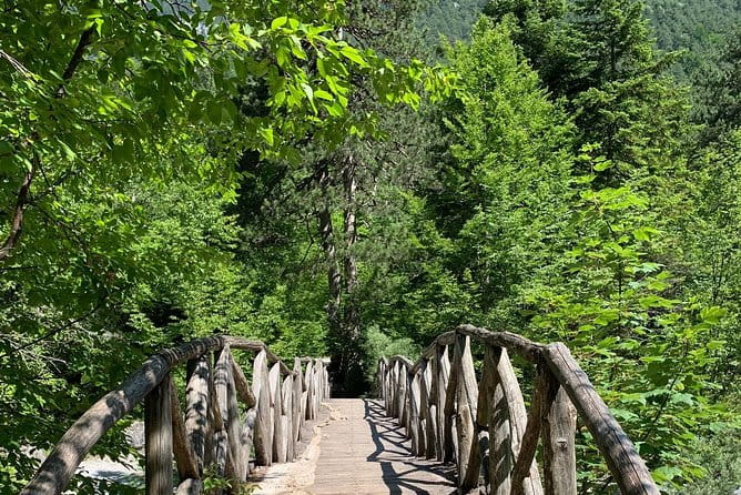 Private hiking tour to Olympus mountain - The Itinerary in Detail: What to Expect