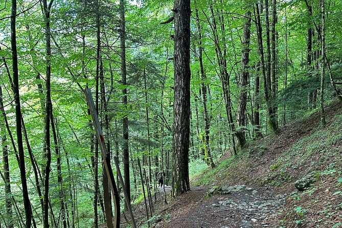 Private hiking tour to Olympus mountain - Price and Value Analysis