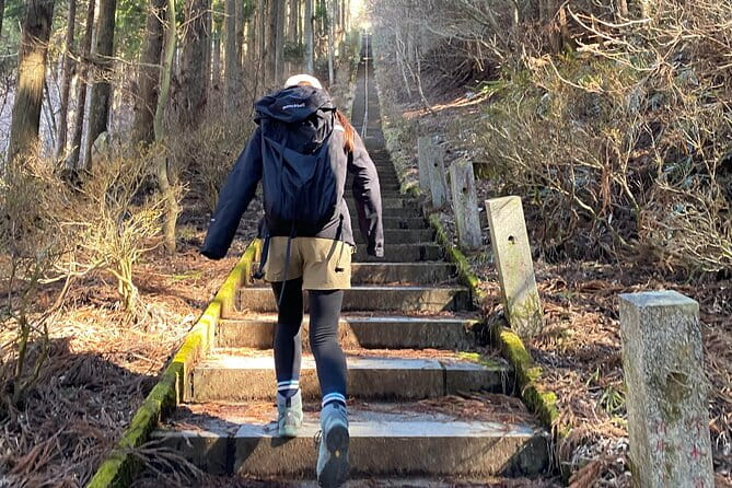 Private Hiking Tour to View Mt. Fuji - Booking Details