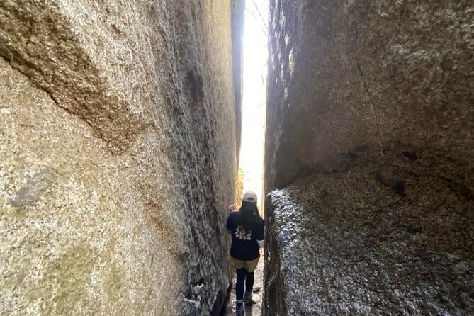 Private Hiking Tour to View Mt. Fuji - Preparing for Your Adventure