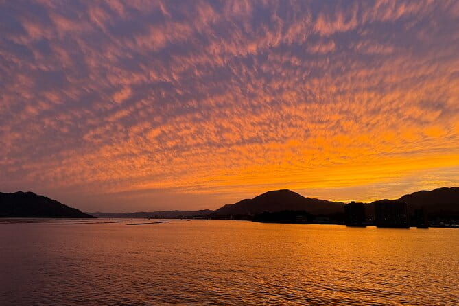 Private Hiroshima and Miyajima Tour With Local - Transportation Details
