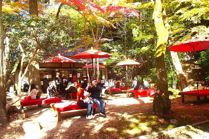 Private Historic Road Hike in the Healing Forest of Arima - Highlights of the Historic Road Hike