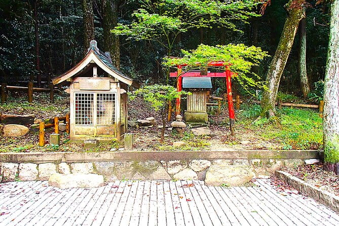 Private Historic Road Hike in the Healing Forest of Arima - Additional Information and Inclusions