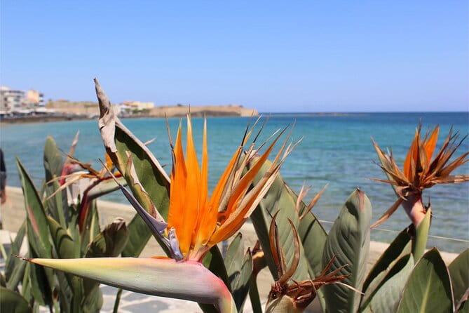 Private History, Sights, and Food Walking Tour of Chania City - Key points / Takeaways