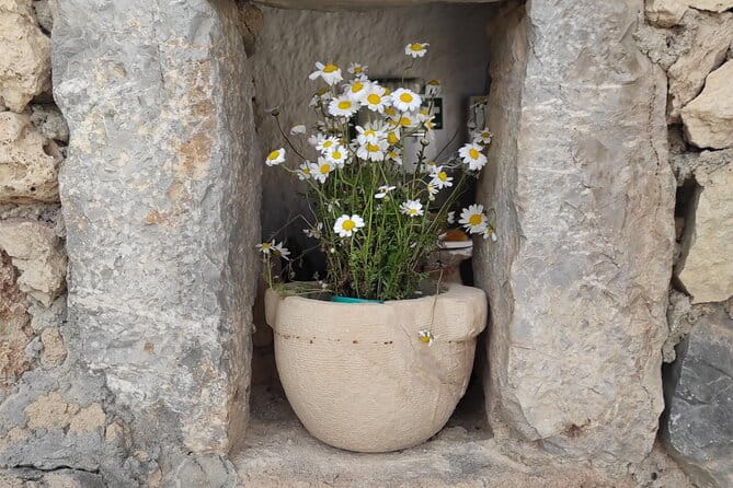 Private History, Sights, and Food Walking Tour of Chania City - In-Depth Look at the Itinerary