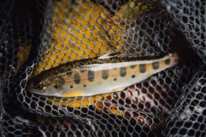 Private Hokkaido Fishing Tour With a Licensed Fisherman - Pickup and Drop-off Details