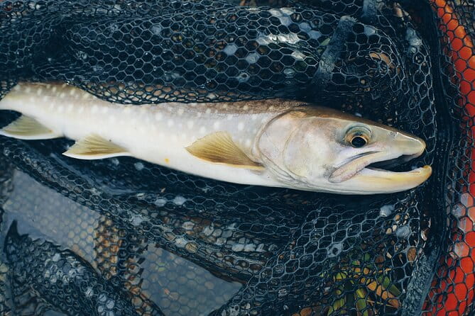 Private Hokkaido Fishing Tour With a Licensed Fisherman - Experience the Thrill of Fishing in Hokkaido