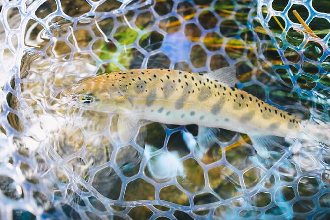 Private Hokkaido Fishing Tour With a Licensed Fisherman - Why Choose This Hokkaido Fishing Tour